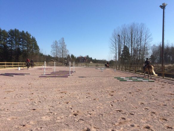 45181833_2407034235976909_6670876232722153472_n