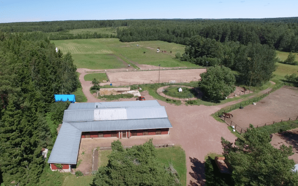 45197821_965245210343940_8834490291827245056_n